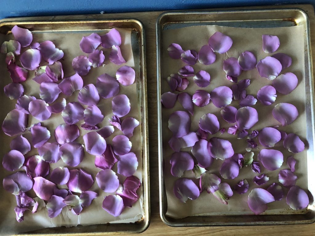 Two baking sheets, covered in parchment papers, covered in pink rose petals.