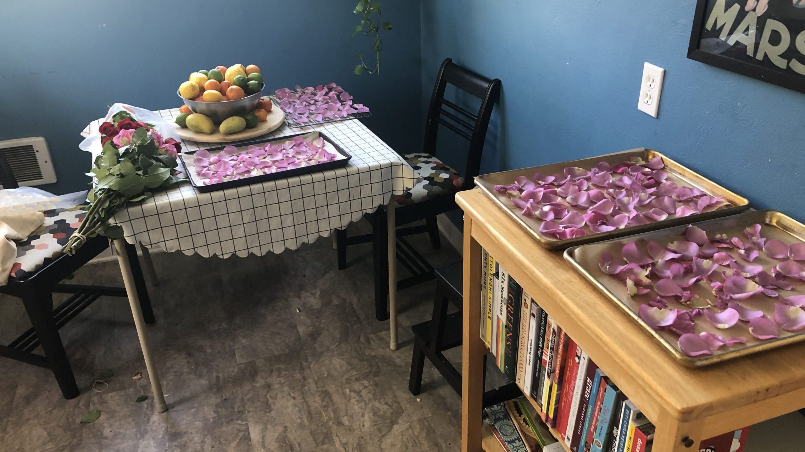 On a kitchen table and counter: four baking sheets covered in pink rose petals.