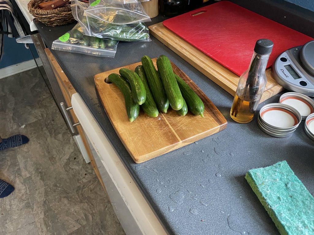 a pile of small bright green cucumbers on a wooden cutting board.
